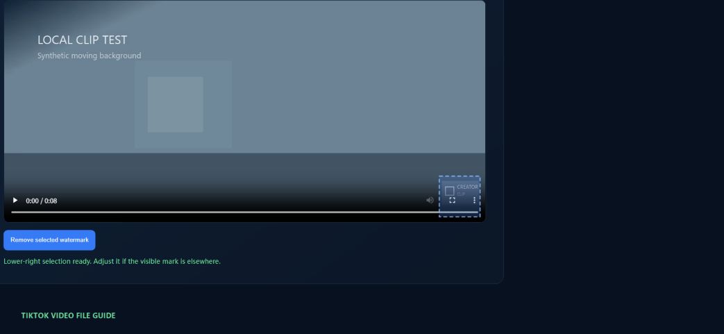 The same source frame at 00:00:00 in the tool, with its lower-right fixed selection box around the badge.